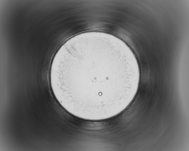 X0000089831338200707121634