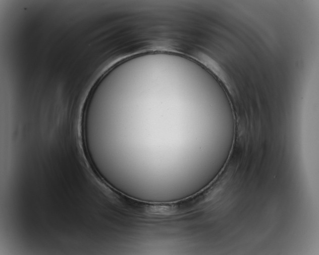 X0000089831339200707121634