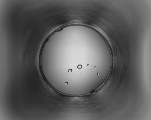 X0000089831341200707121634