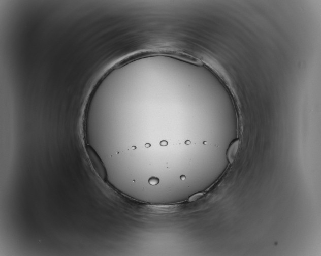 X0000089831344200707121634