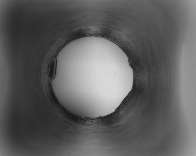 X0000089831345200707121633