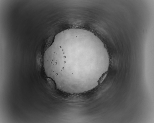 X0000089831346200707121633