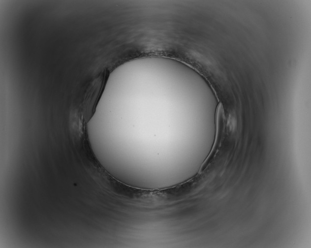 X0000089831348200707121633