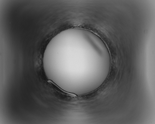 X0000089831349200707121633