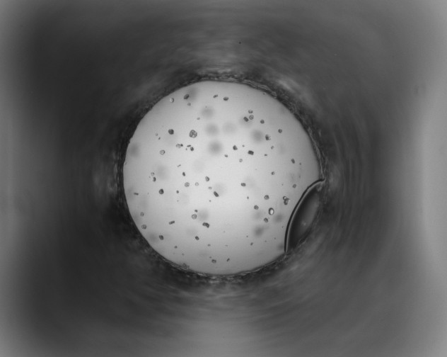 X0000089831350200707121633