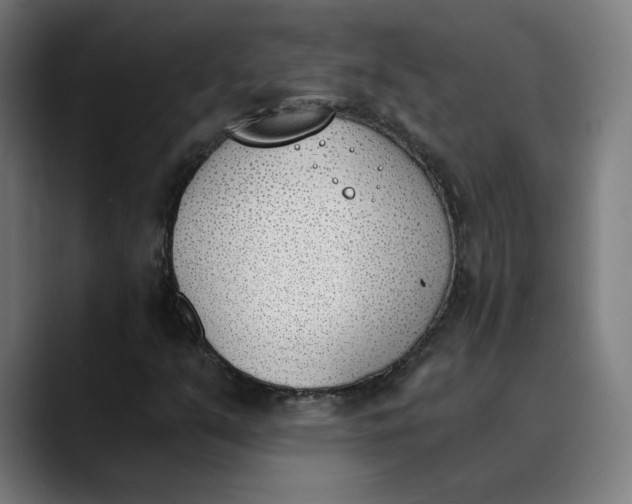 X0000089831351200707121633