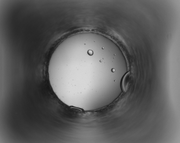 X0000089831352200707121633