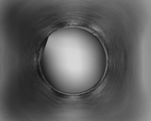 X0000089831353200707121633