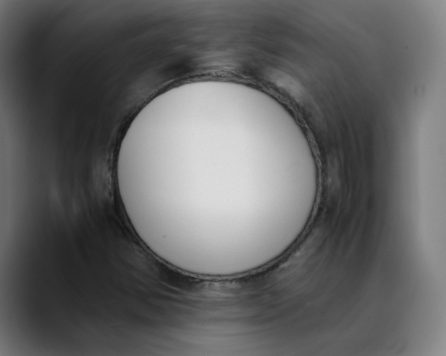 X0000089831354200707121633