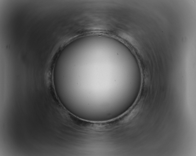 X0000089831357200707121633