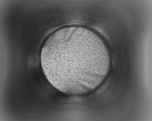 X0000089831358200707121633