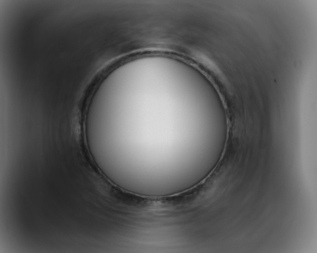 X0000089831360200707121633