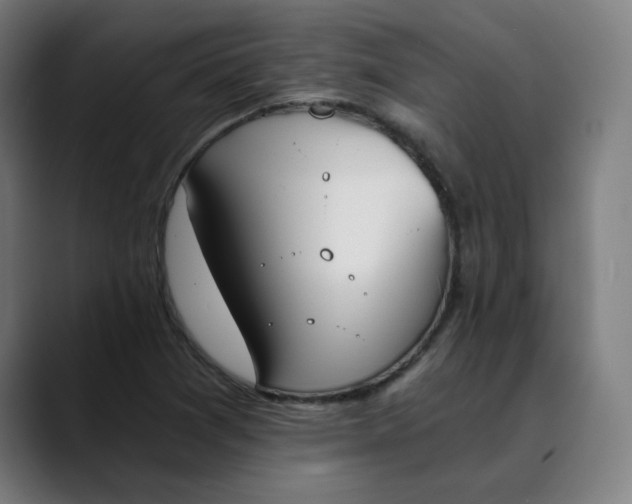 X0000089831361200707121633