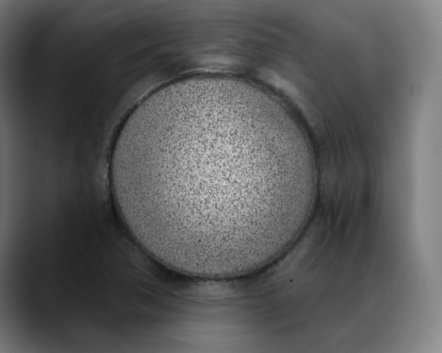 X0000089831362200707121633