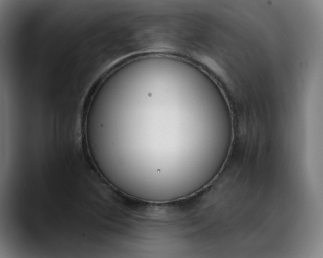 X0000089831364200707121633