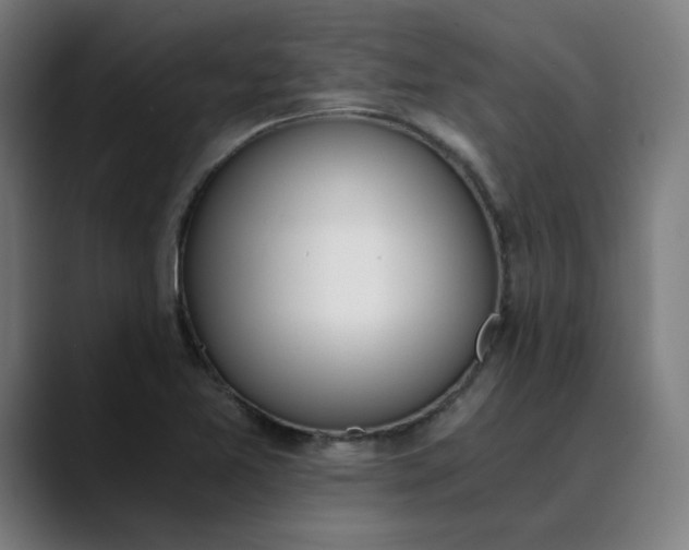 X0000089831365200707121633