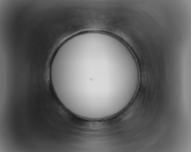 X0000089831366200707121633