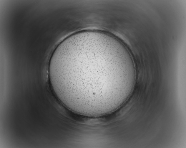 X0000089831367200707121633