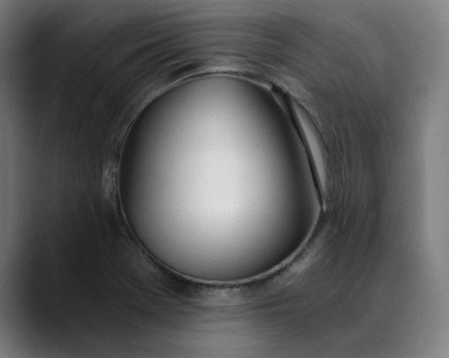 X0000089831369200707121633