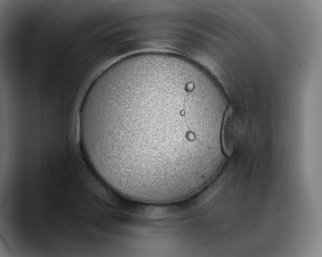 X0000089831371200707121633