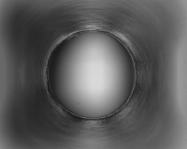 X0000089831373200707121633