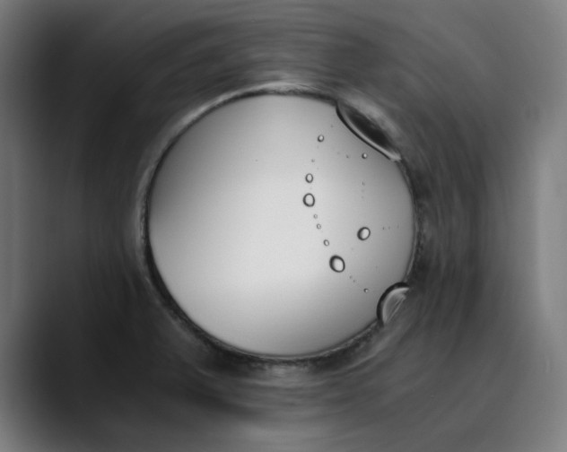 X0000089831375200707121633