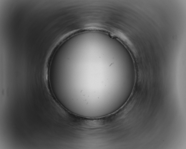 X0000089831376200707121633