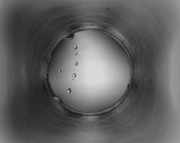 X0000089831377200707121633