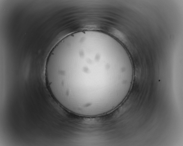 X0000089831378200707121633