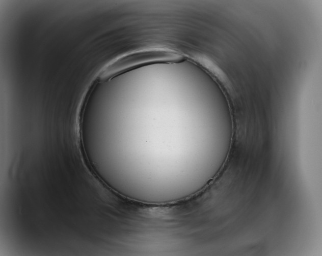 X0000089831380200707121633