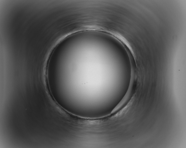 X0000089831381200707121633