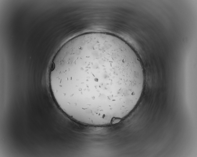 X0000089831382200707121633