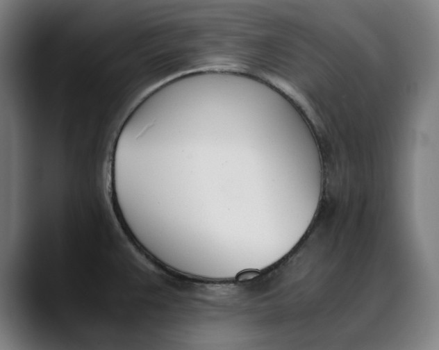 X0000089831383200707121633