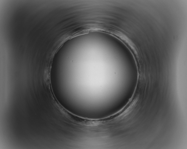 X0000089831385200707121633