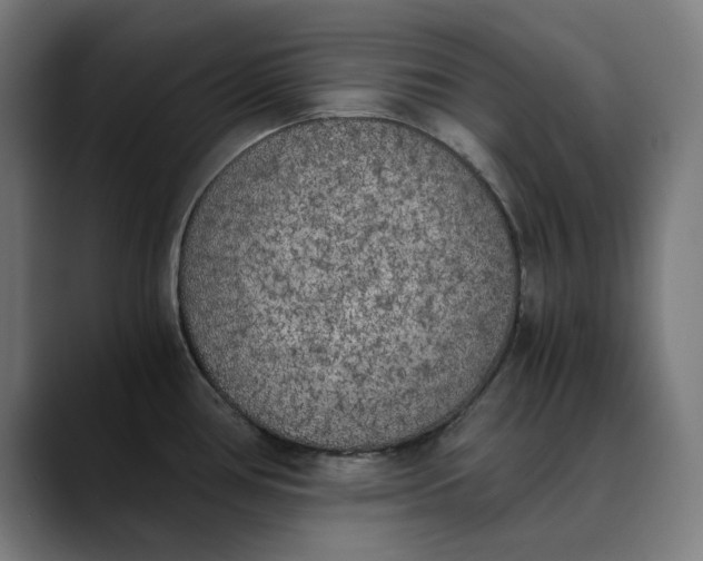 X0000089831386200707121633