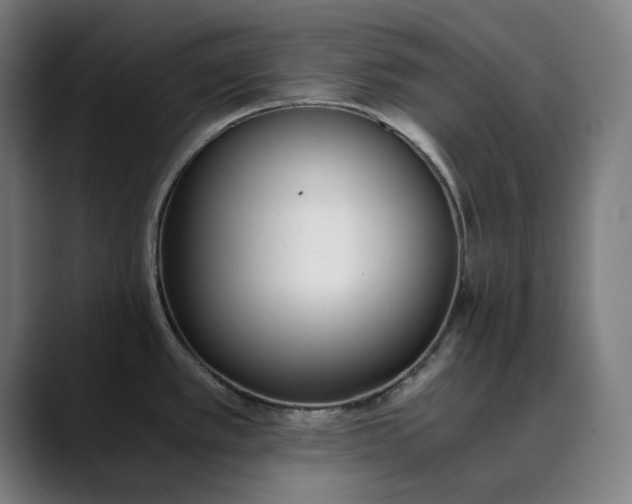 X0000089831389200707121633