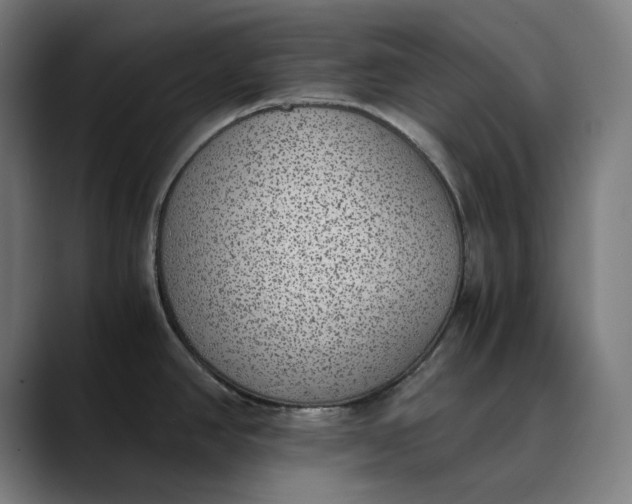 X0000089831390200707121633