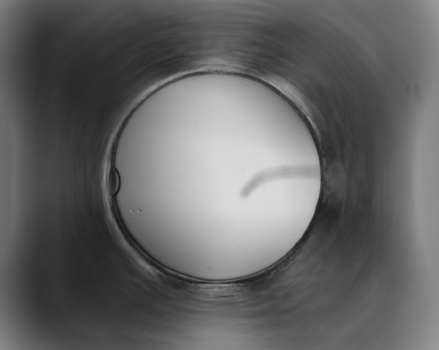 X0000089831391200707121633