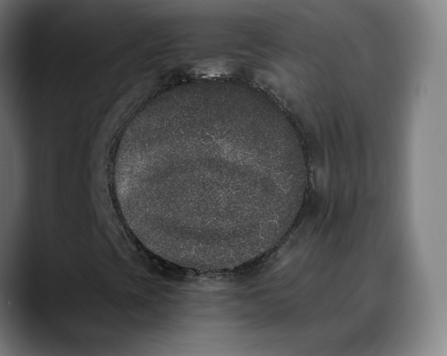 X0000089831393200707121632