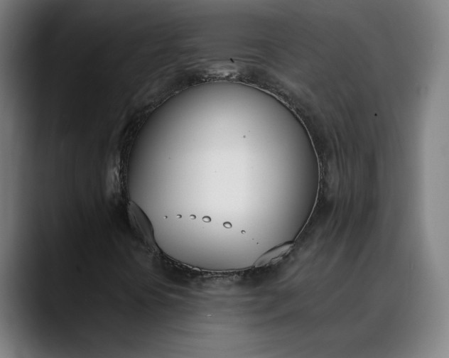 X0000089831394200707121632