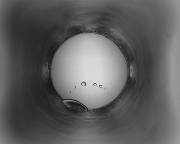 X0000089831395200707121632