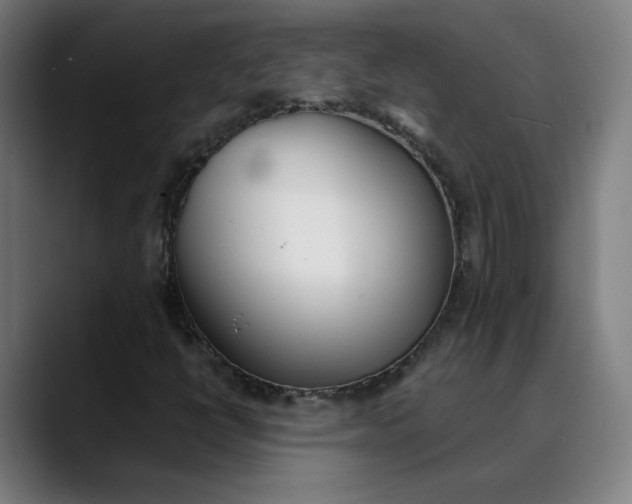 X0000089831398200707121632