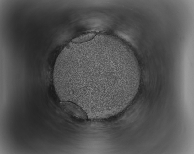 X0000089831399200707121632