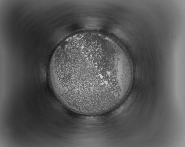 X0000089831401200707121632