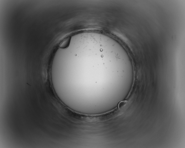 X0000089831407200707121632