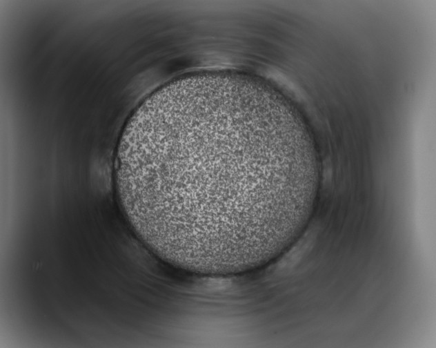 X0000089831409200707121632