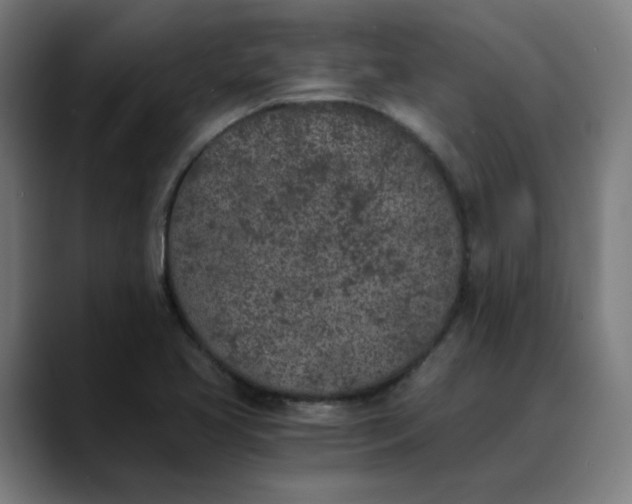 X0000089831413200707121632