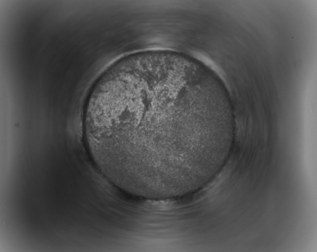 X0000089831415200707121632