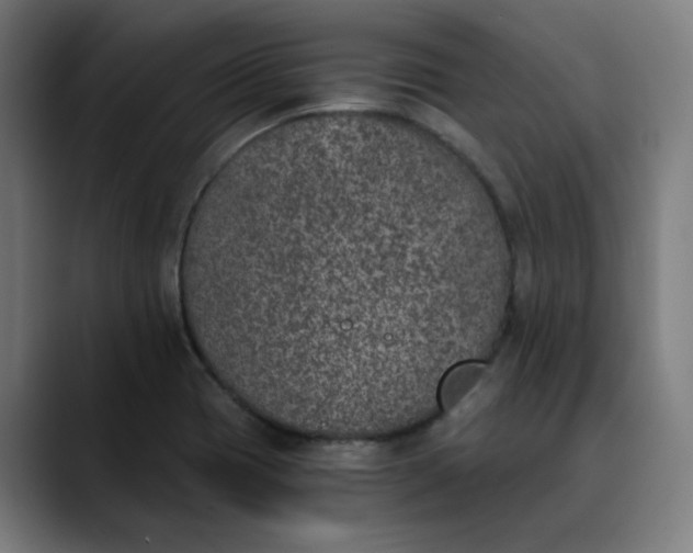 X0000089831417200707121632