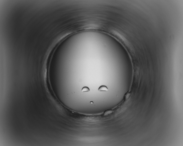 X0000089831418200707121632